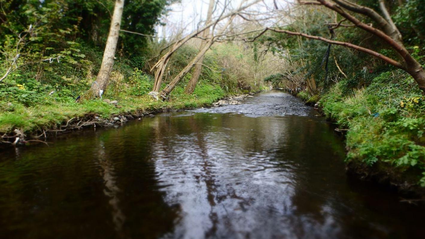 Dodder Greenway