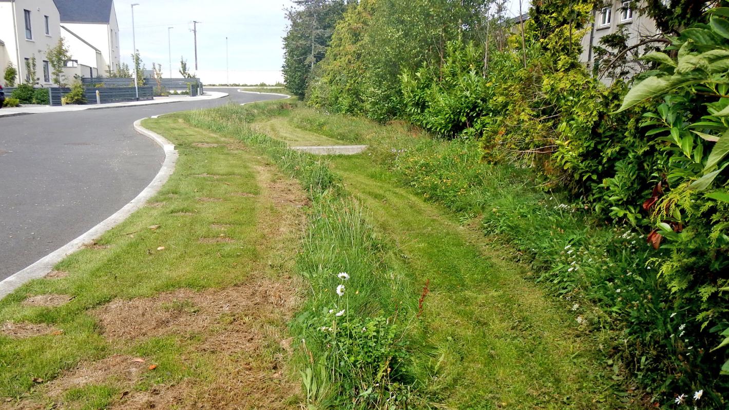 Fingal and South Dublin Surface Water Management Banner Image